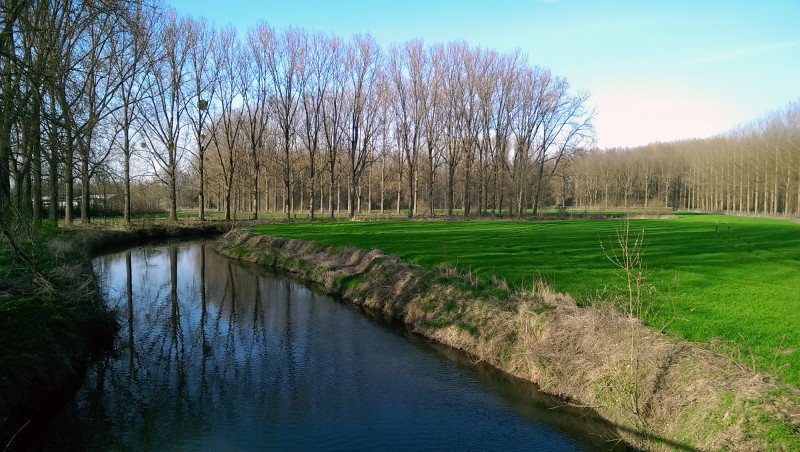1010_ZENNEBEEMDEN 3